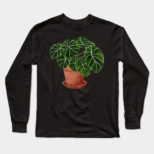 Alocasia Black Velvet Long Sleeve T-Shirt